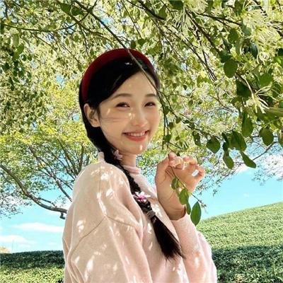 欧栗树 封面